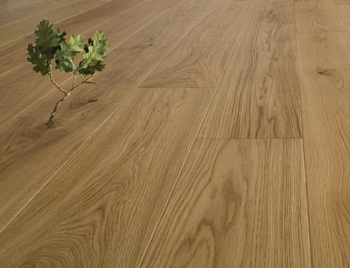 Geklebtes Parkett punktet nachhaltig – Mit Holz stimmt die Ökobilanz
